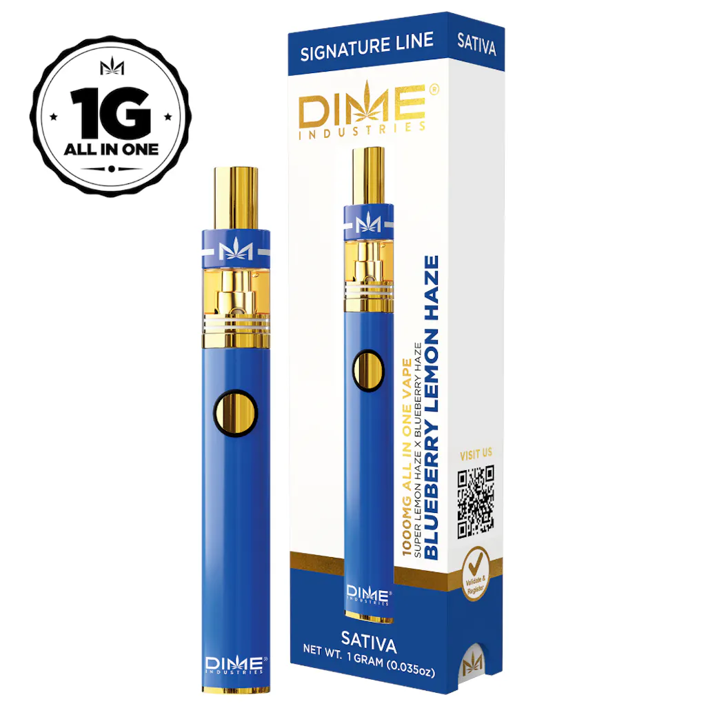 DIME Blueberry Lemon Haze 1G All in One Device
